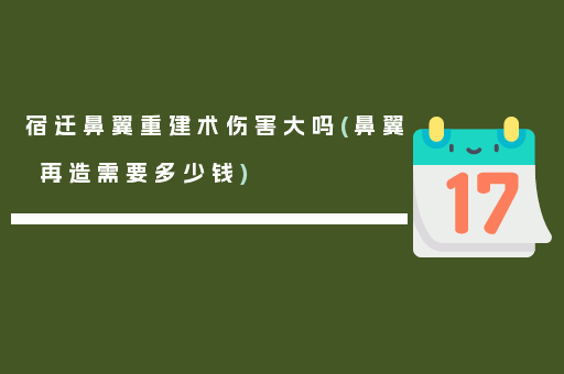 宿迁鼻翼重建术伤害大吗(鼻翼再造需要多少钱)