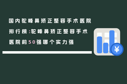 国内驼峰鼻矫正整容手术医院排行榜：驼峰鼻矫正整容手术医院前50强哪个实力强