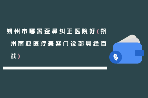 朔州市哪家歪鼻纠正医院好(朔州南亚医疗美容门诊部身经百战)