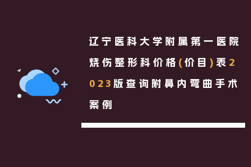 辽宁医科大学附属第一医院烧伤整形科价格(价目)表2023版查询附鼻内弯曲手术案例