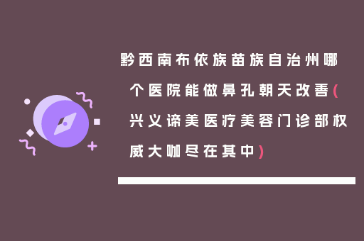 黔西南布依族苗族自治州哪个医院能做鼻孔朝天改善(兴义谛美医疗美容门诊部权威大咖尽在其中)