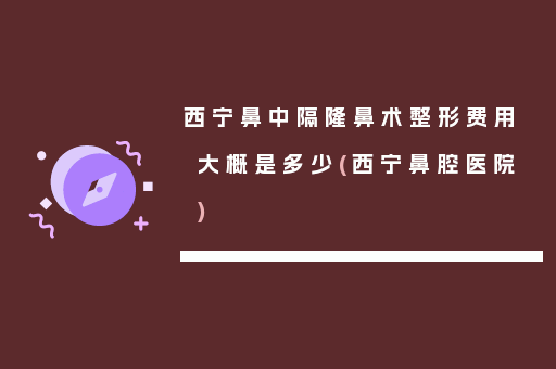 西宁鼻中隔隆鼻术整形费用大概是多少(西宁鼻腔医院)